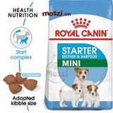  Thức ăn hạt Royal Canin Mini Starter cho chó mẹ và chó con 