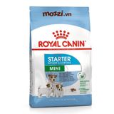  Royal Canin Mini Starter Thức ăn hạt cho chó mẹ và chó con 