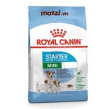  Thức ăn hạt Royal Canin Mini Starter cho chó mẹ và chó con 