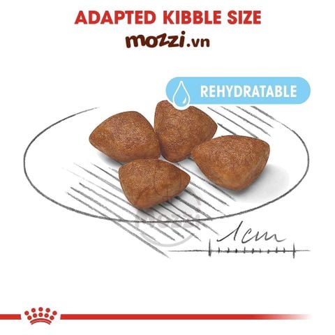 Thức ăn hạt Royal Canin Mini Starter cho chó mẹ và chó con