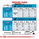  Thức ăn hạt Royal Canin Mini Starter cho chó mẹ và chó con 