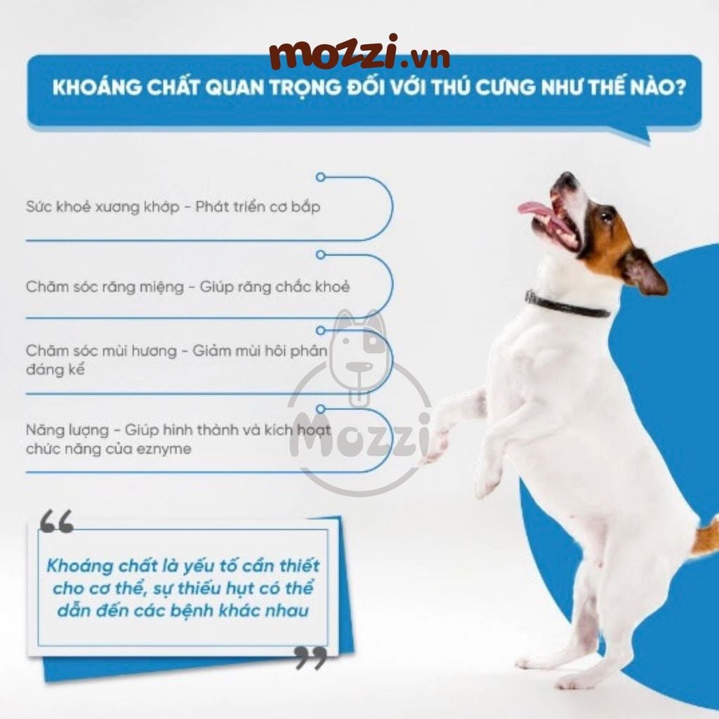Bowwow Nước khoáng cấp đạm và canxi 500ml  cho chó mèo