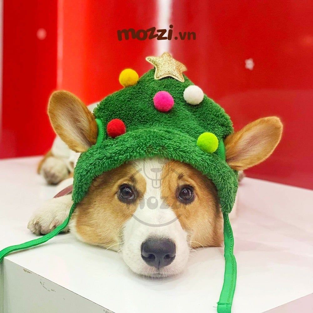 Bộ Nón và Yếm cổ Noel hình nổi cho chó mèo
