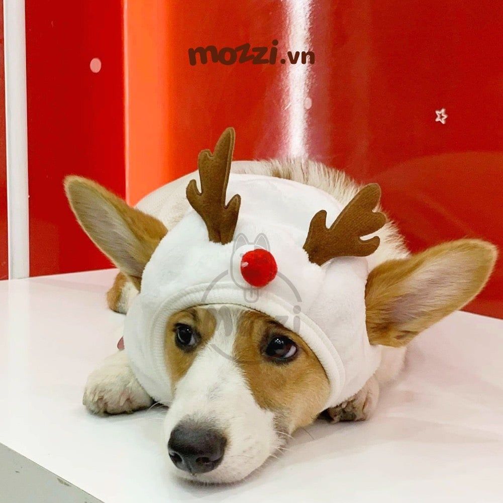 Bộ Nón và Yếm cổ Noel hình nổi cho chó mèo