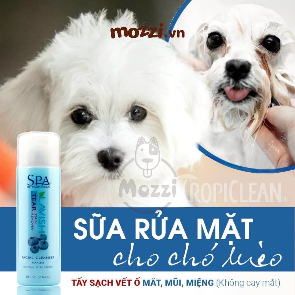 Sữa rửa mặt tẩy ố vùng mắt Spa Tropiclean vệ sinh mắt Chai 236ml cho chó mèo