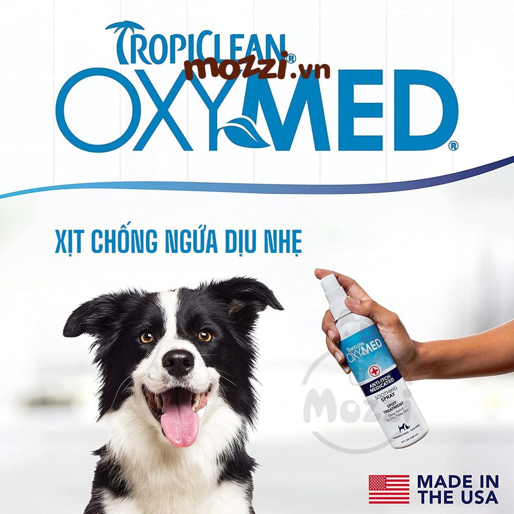 Xịt giảm ngứa viêm da tức thì Anti-Itch Tropiclean Oxymed cho chó mèo Chai 236ml