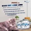 Pate cho chó mèo Monge Vetsolution Dermatosis Trị viêm da và rụng lông