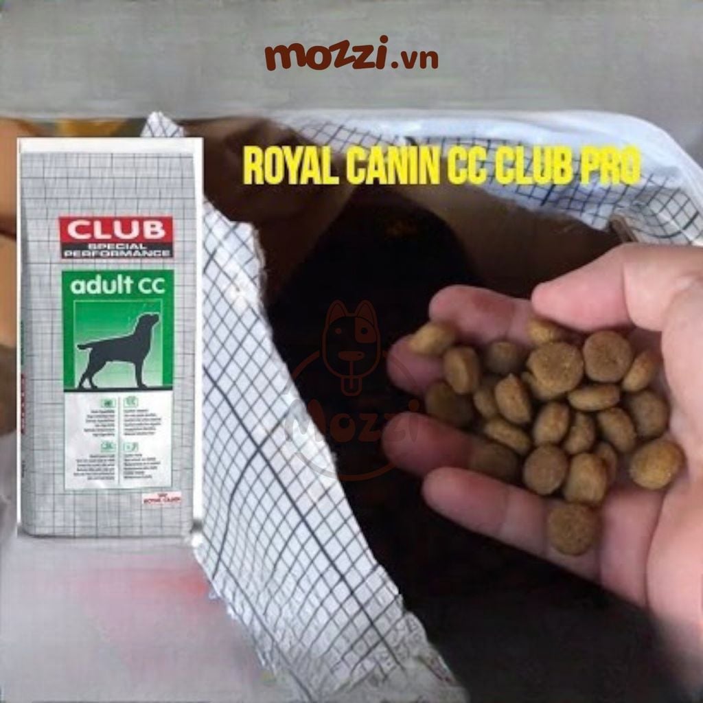 [20kg] Thức ăn hạt Royal Canin Club Pro cho chó Puppy Adult
