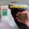[20kg] Thức ăn hạt Royal Canin Club Pro cho chó Puppy Adult