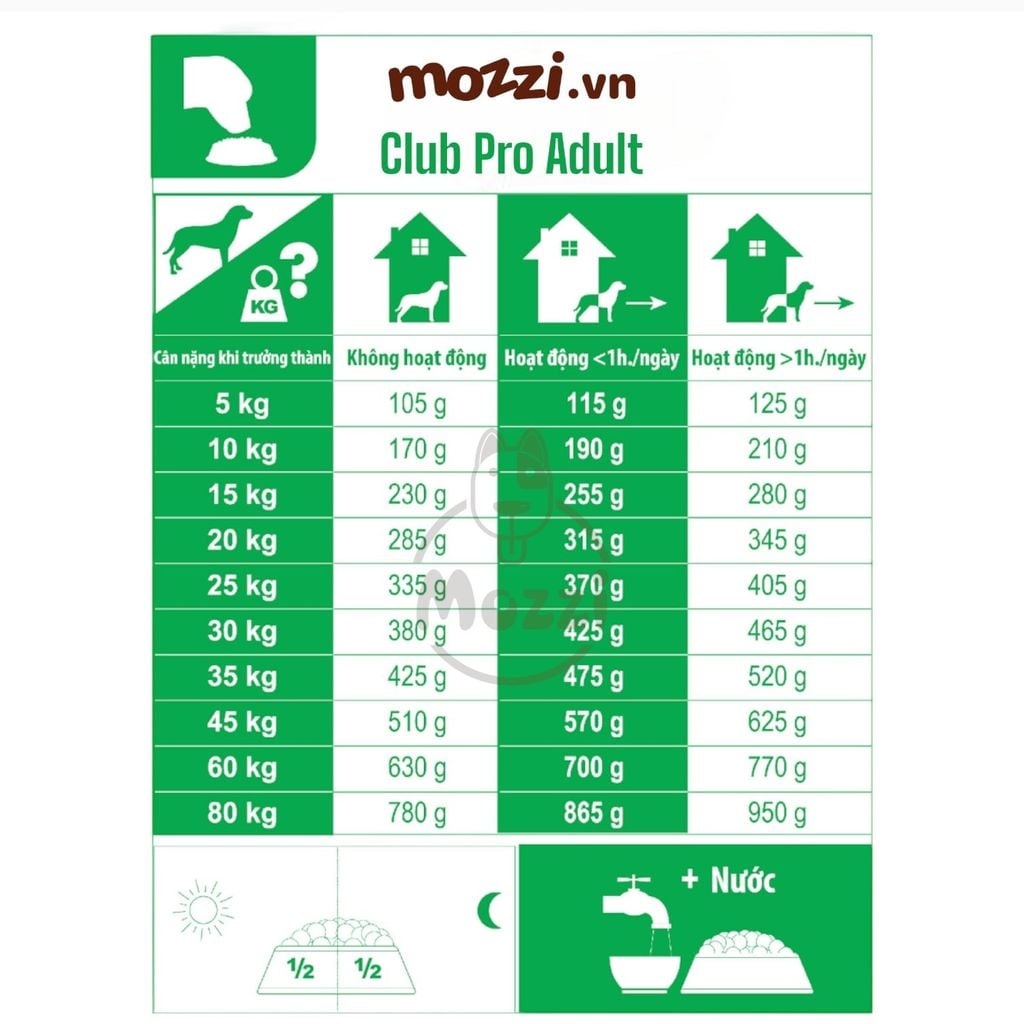 [20kg] Thức ăn hạt Royal Canin Club Pro cho chó Puppy Adult