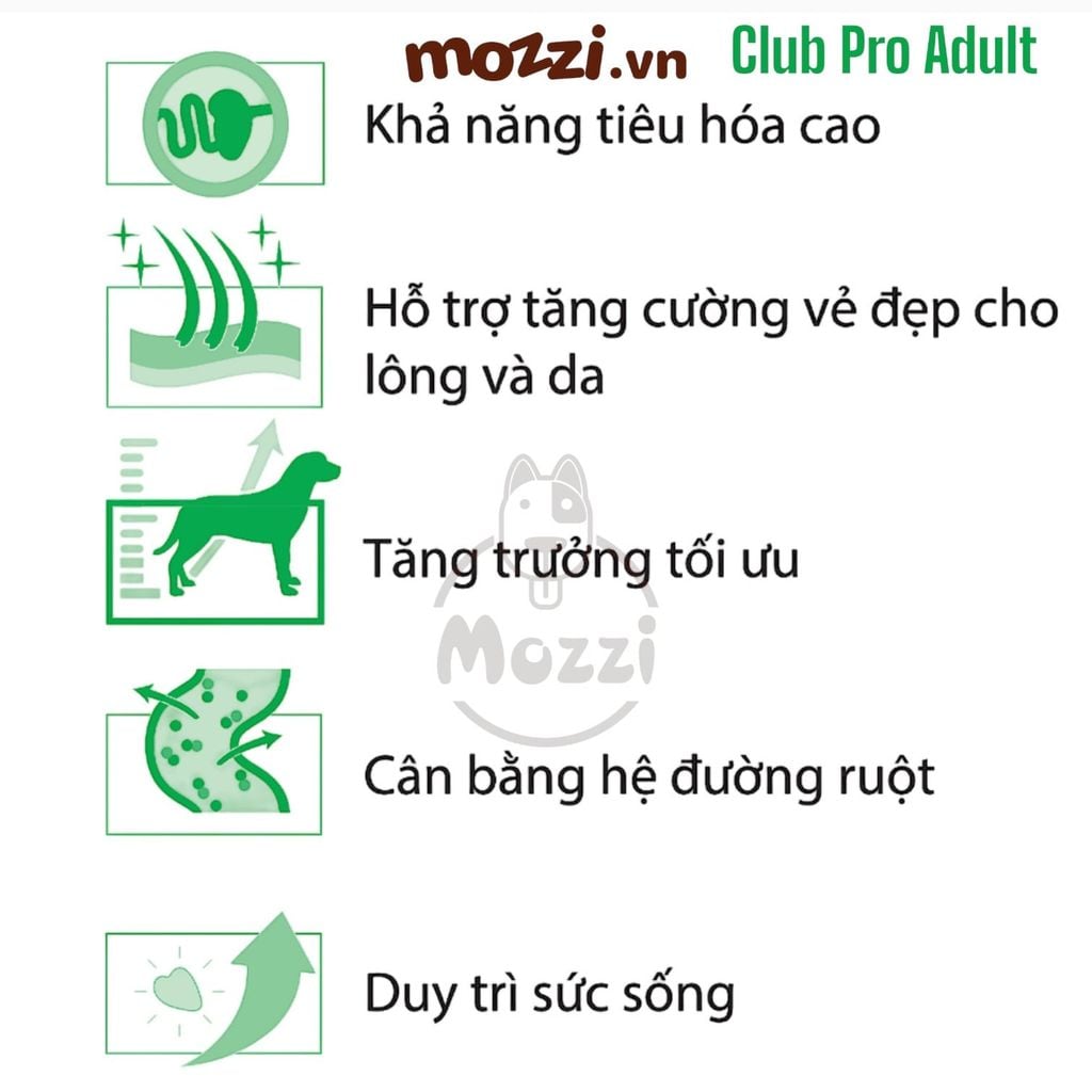 [20kg] Thức ăn hạt Royal Canin Club Pro cho chó Puppy Adult