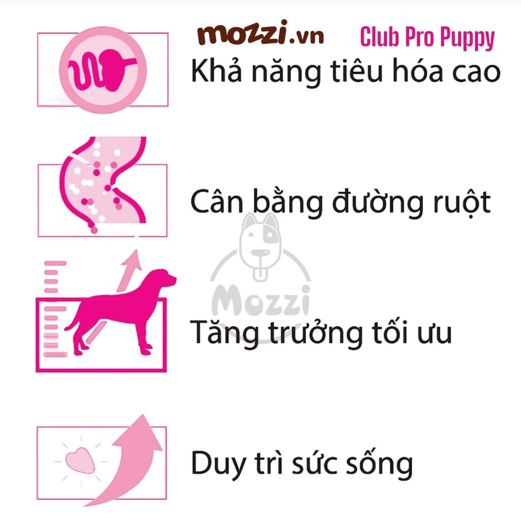 [20kg] Thức ăn hạt Royal Canin Club Pro cho chó Puppy Adult