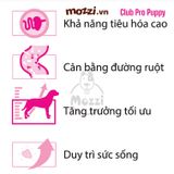  [20kg] Thức ăn hạt Royal Canin Club Pro cho chó Puppy Adult 