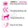 [20kg] Thức ăn hạt Royal Canin Club Pro cho chó Puppy Adult