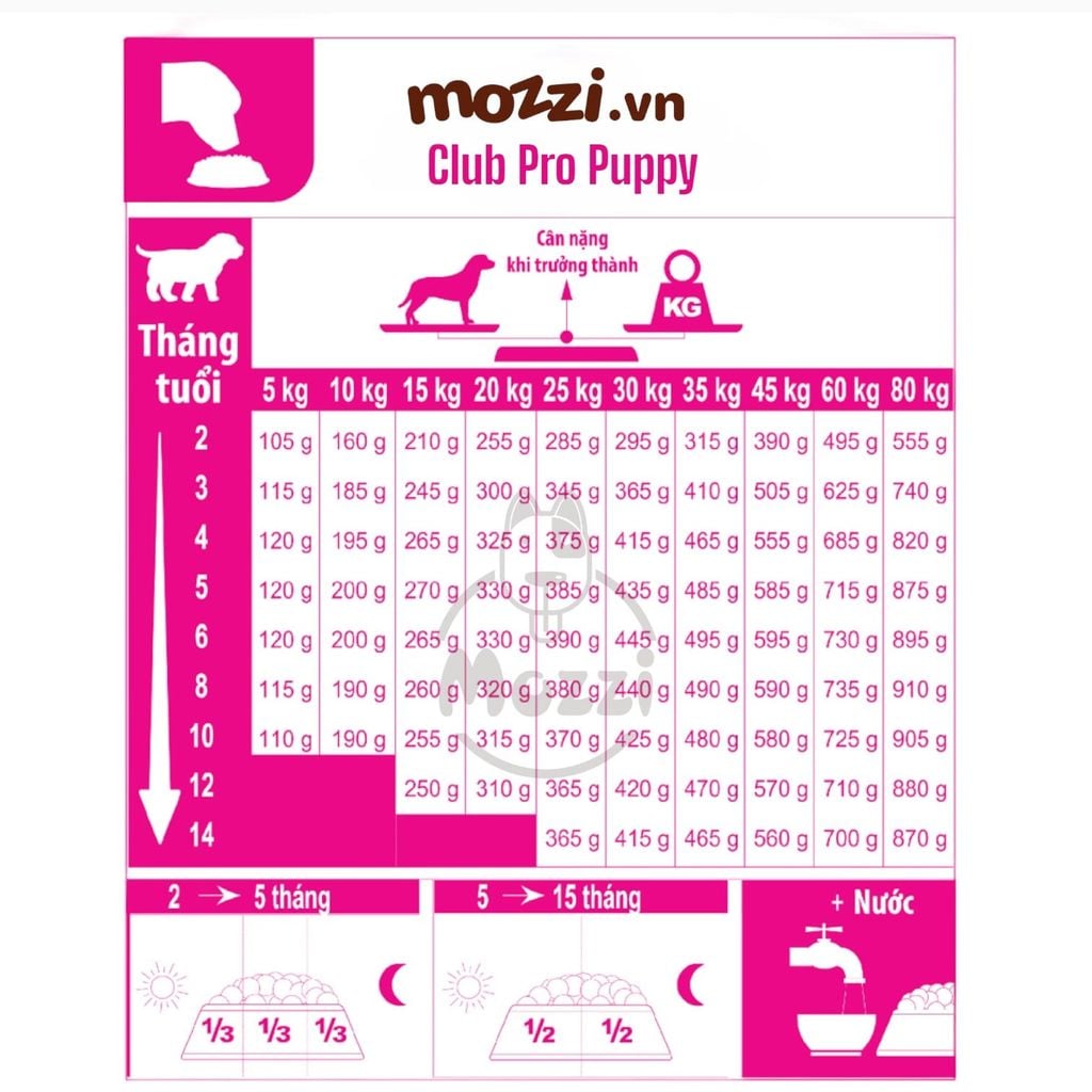 [20kg] Thức ăn hạt Royal Canin Club Pro cho chó Puppy Adult