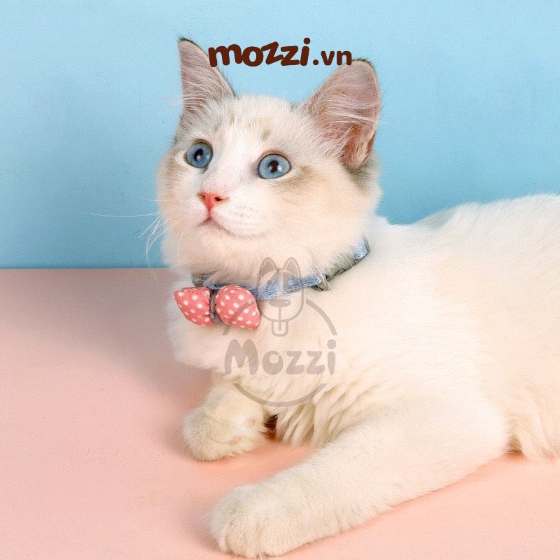 Vòng cổ cho chó mèo Nơ cotton denim dễ thương