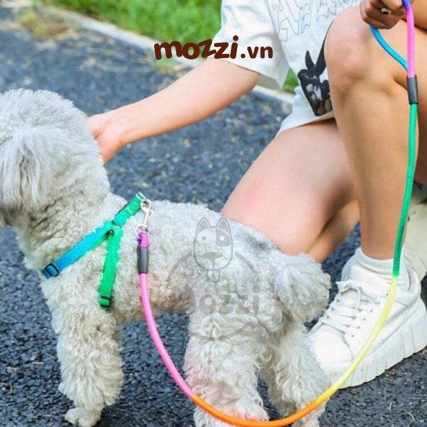 Dây dắt yếm ngực dáng tròn 7 màu