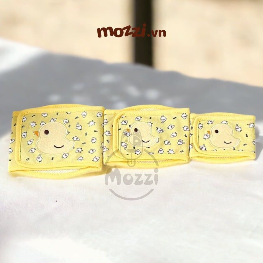 Tã bỉm quấn vải PetStyle lót tã cho chó đực