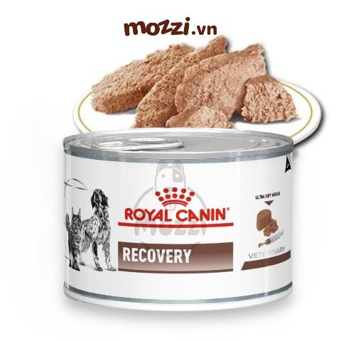 Pate cho chó mèo Phục hồi sức khỏe Recovery Royal Canin Lon 195gr