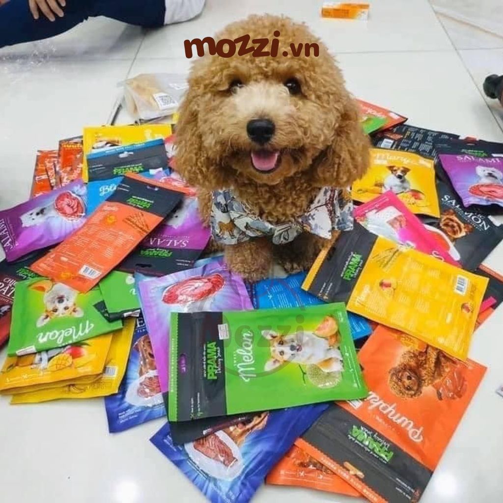 Snack cho chó Ăn vặt dạng mềm Prama gói 70gr Thái Lan