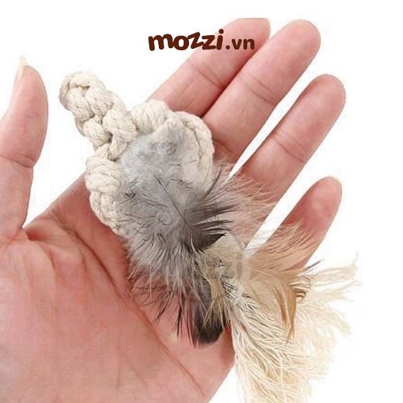CattyMan Đồ chơi catnip cotton lông gà hình que cho mèo