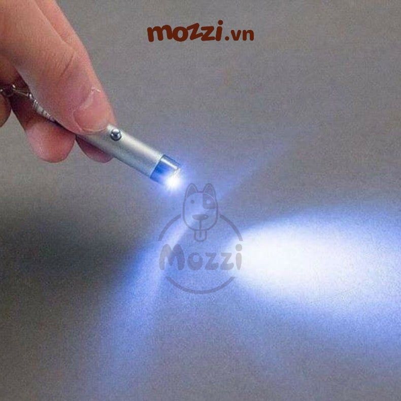 Đồ chơi đèn laser cao cấp cho chó mèo