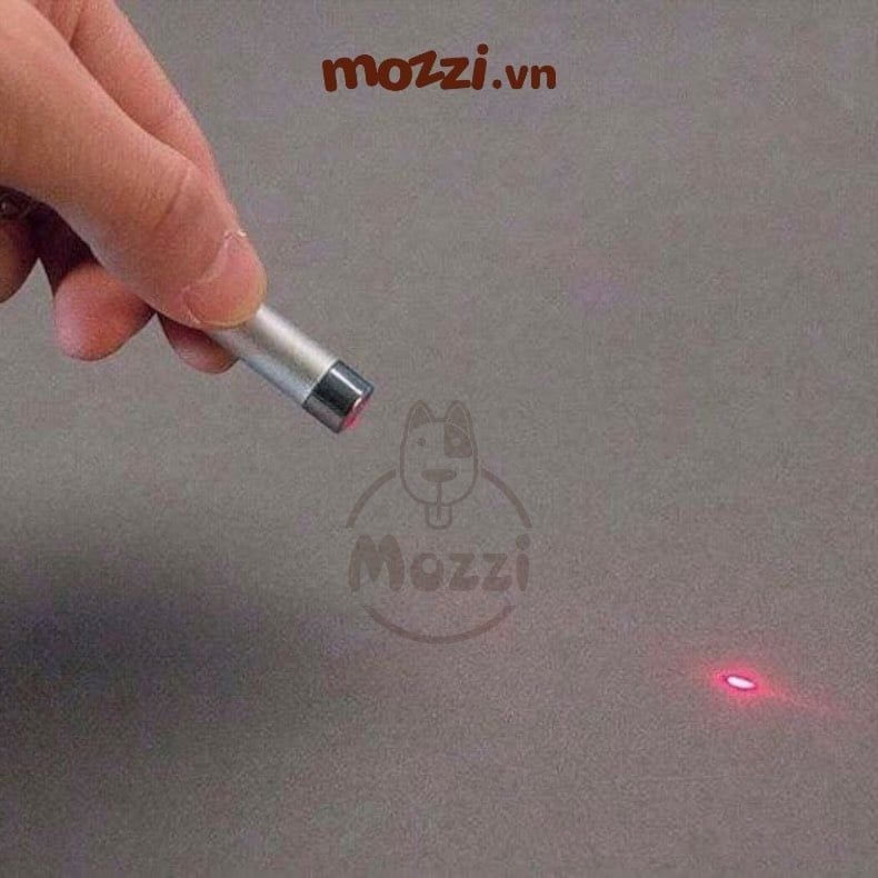 Đồ chơi đèn laser cao cấp cho chó mèo