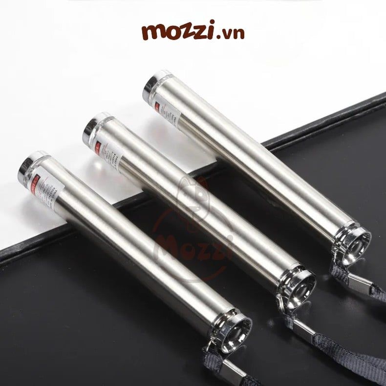 Đồ chơi đèn laser cao cấp cho chó mèo