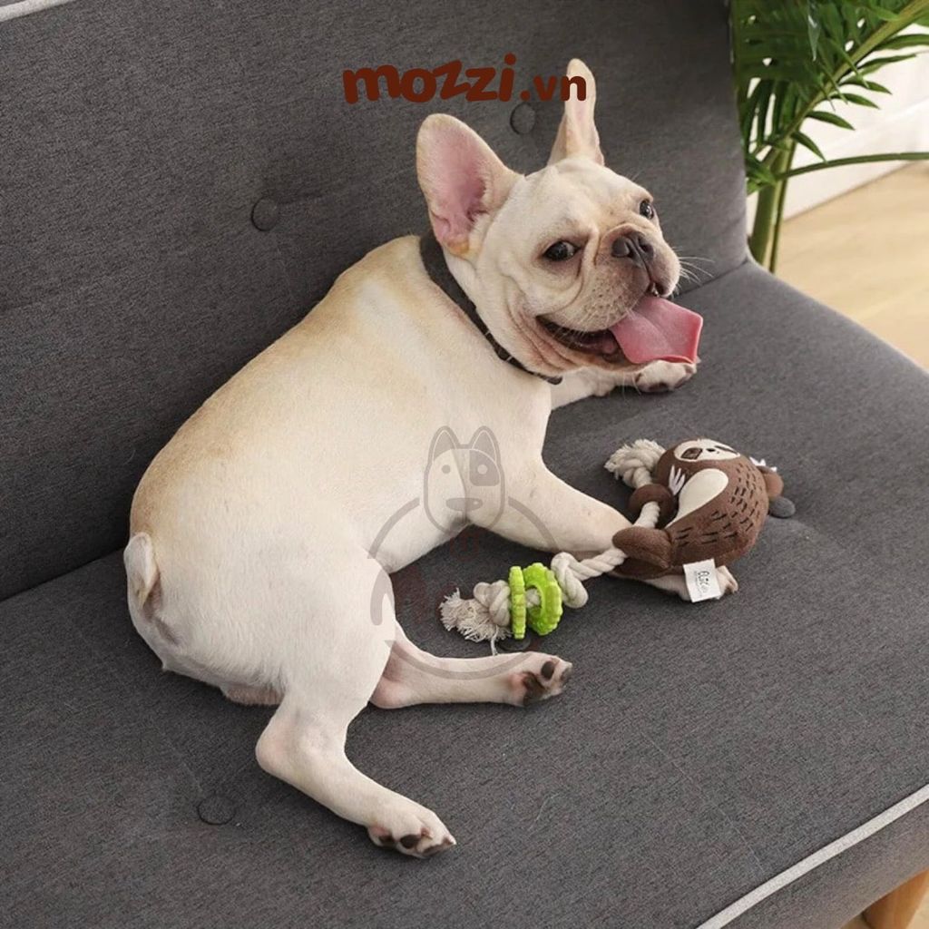 Đồ chơi thú leo dây thừng cho chó