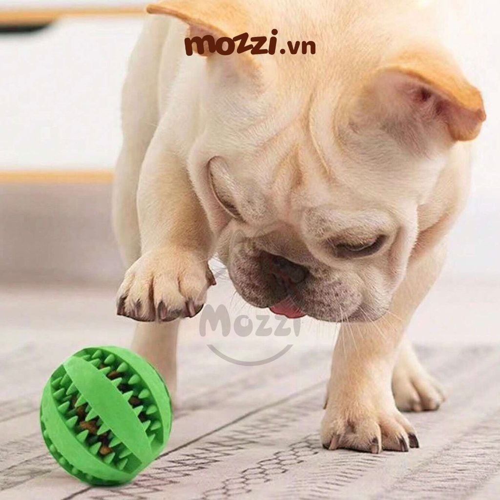 Đồ chơi Bóng cao su rơi hạt