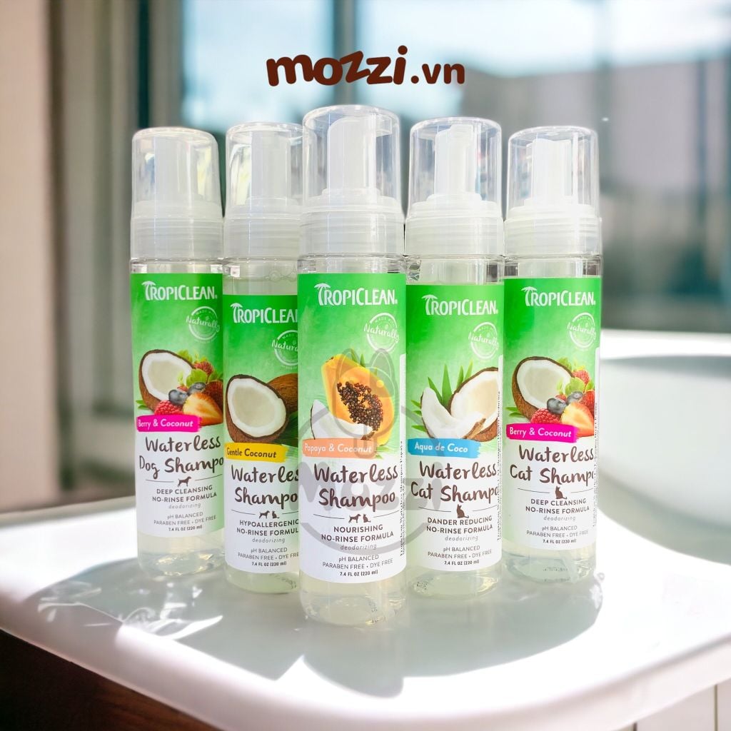 Tắm khô Tropiclean Hương tươi mát dạng bọt cho chó mèo Chai 220ml