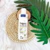 Sữa tắm Alkin Dermatic Fungamyl Chăm sóc da nấm vảy gàu, ghẻ, ngứa mưng mủ cho chó mèo Chai 200ml