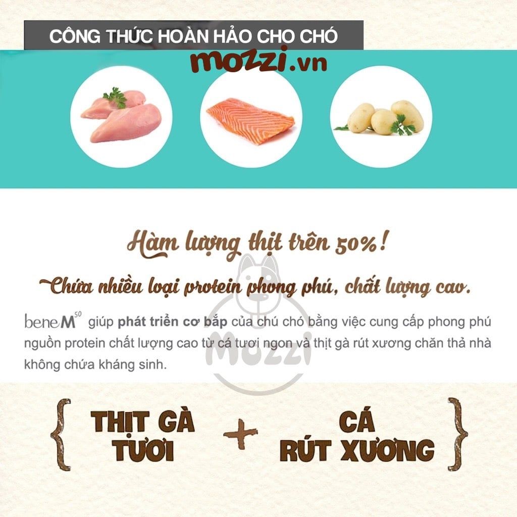 Thức ăn hạt hữu cơ Natural Core Bene M50 vị Gà và Cá hồi cho chó [400g - 500g - 2kg - 5kg - 10kg]