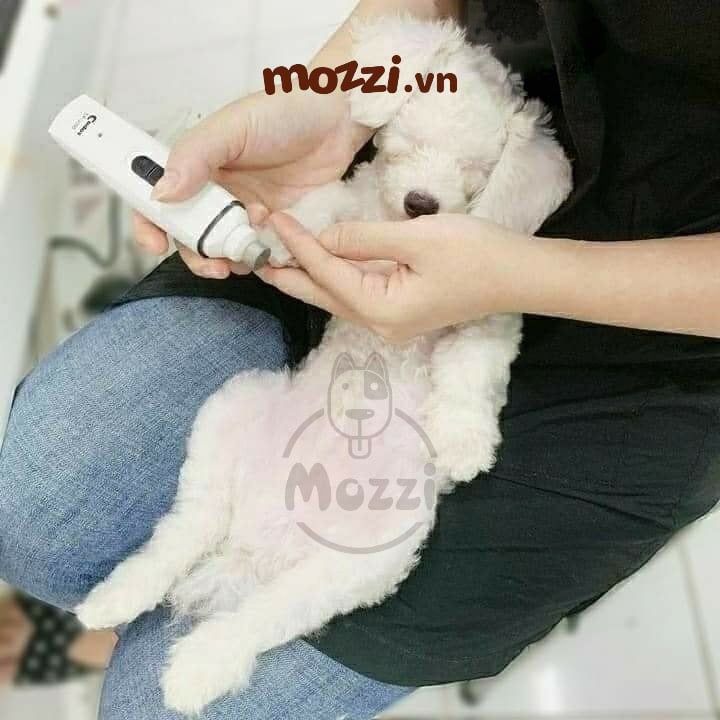 Máy mài móng Codos CP-3300 cho chó mèo