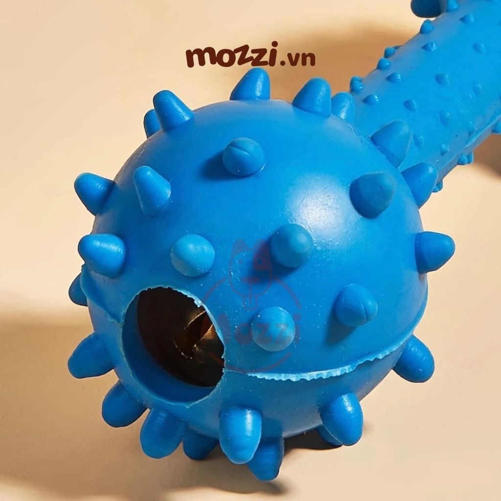 Đồ chơi xương gai gặm sạch răng có chuông cho chó