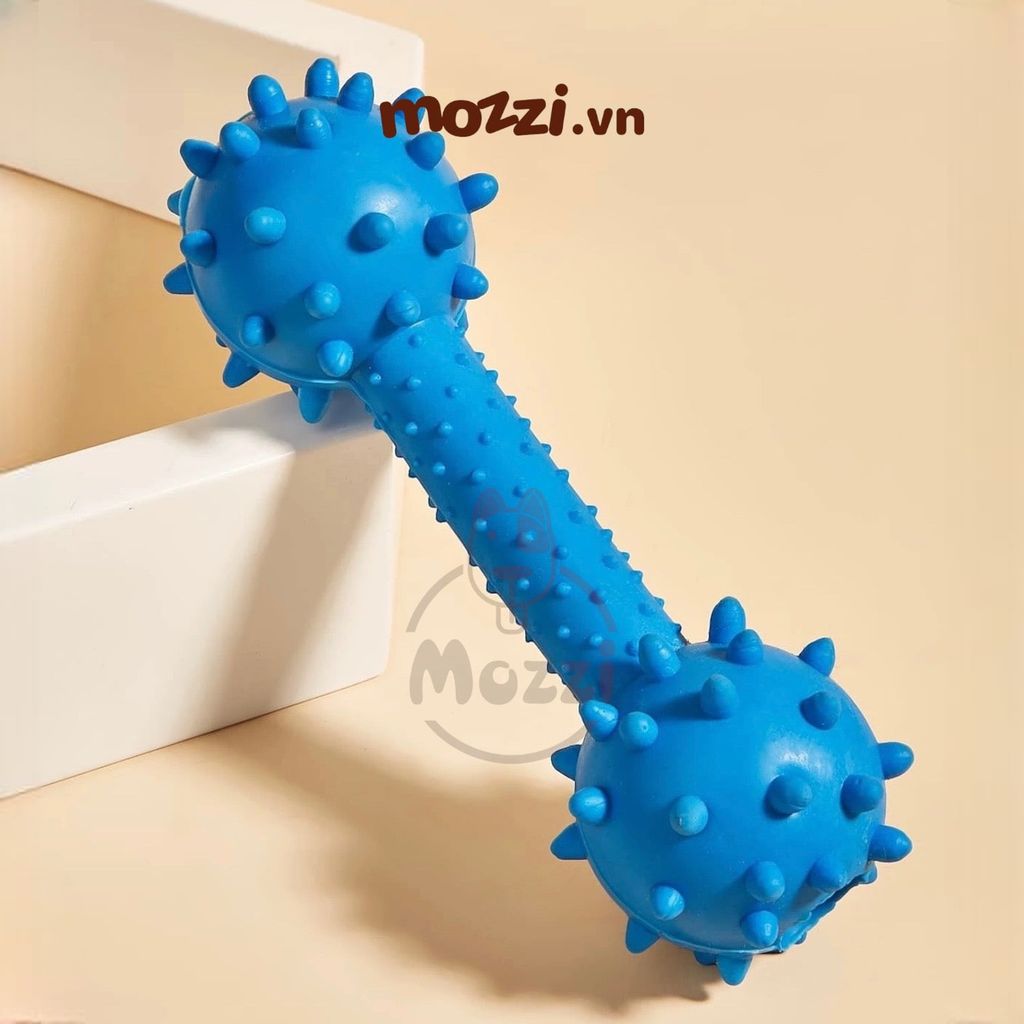 Đồ chơi xương gai gặm sạch răng có chuông cho chó