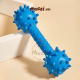  Đồ chơi xương gai gặm sạch răng có chuông cho chó 