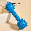 Đồ chơi xương gai gặm sạch răng có chuông cho chó