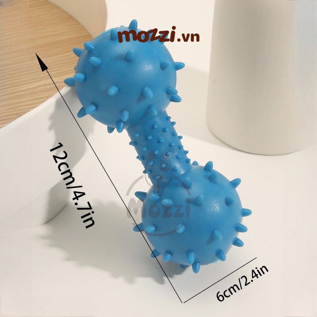 Đồ chơi xương gai gặm sạch răng có chuông cho chó