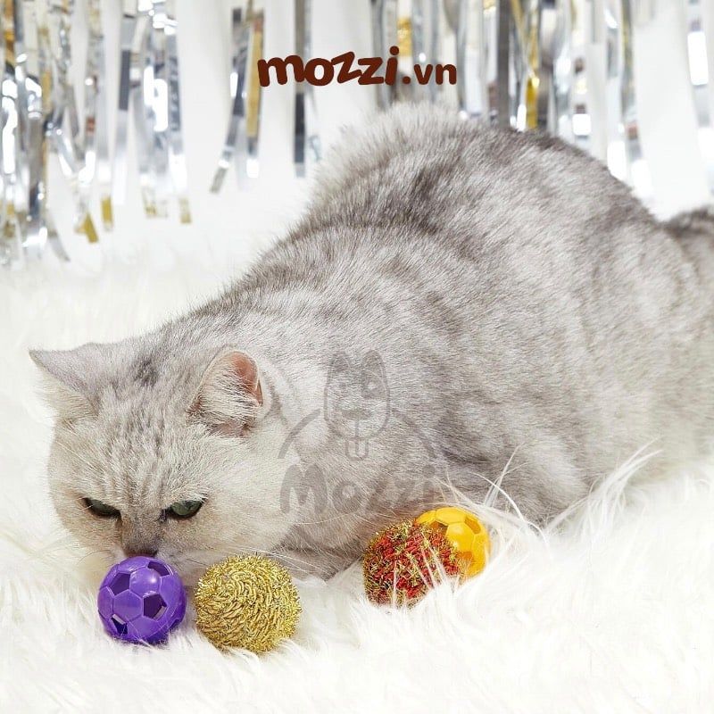 CattyMan Set đồ chơi 4 bóng cho mèo