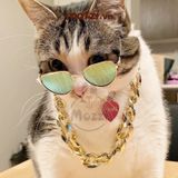  Dây chuyền vàng bạc làm theo yêu cầu cho chó mèo (inbox cân nặng) 