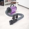 Codos CP-160 CP-200 Máy sấy lông cho chó mèo