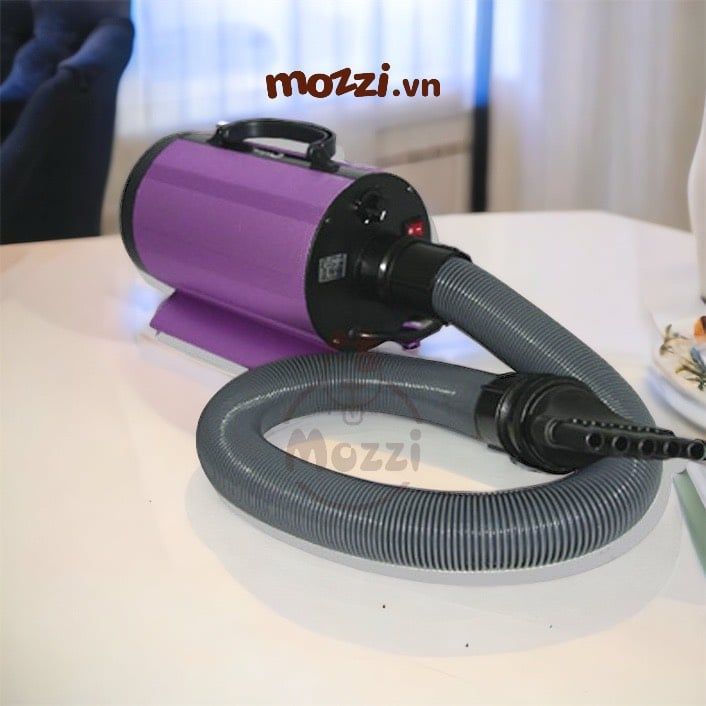 Codos CP-160 CP-200 Máy sấy lông cho chó mèo