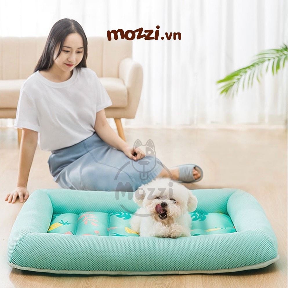 Nệm Thảm mát cho chó mèo Hàn Quốc hình trái cây dễ thương