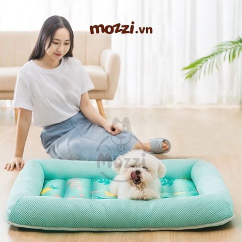  Nệm Thảm mát cho chó mèo Hàn Quốc hình trái cây dễ thương 