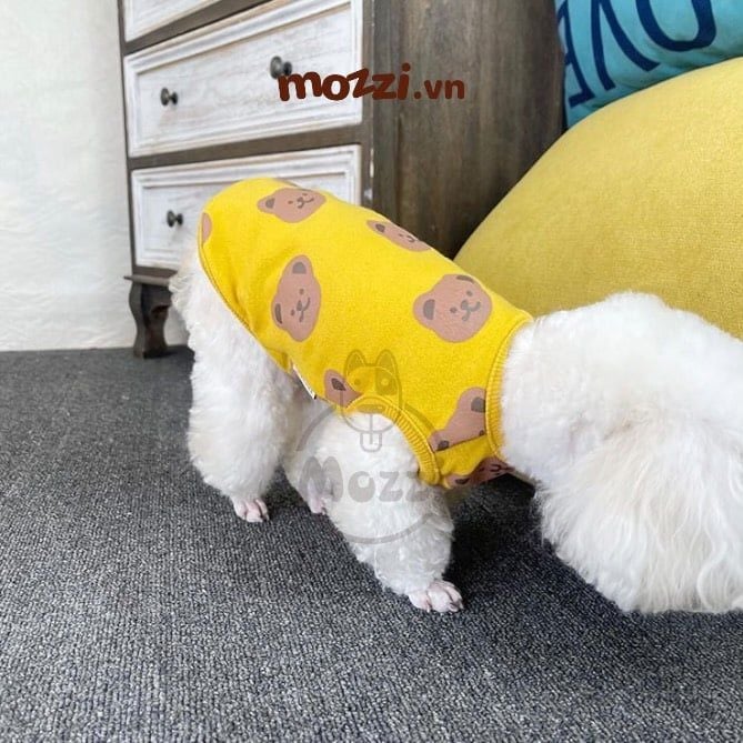 Áo cotton hình Gấu nâu lớn Hàn Quốc cho chó mèo
