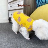  Áo cotton hình Gấu nâu lớn Hàn Quốc cho chó mèo 