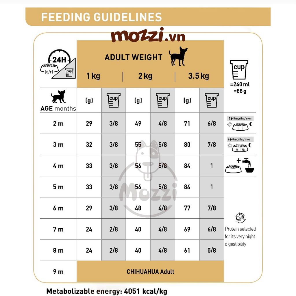 Thức ăn hạt Royal Canin Chihuahua Puppy Adult cho chó Phốc hươu [500g - 1.5kg]