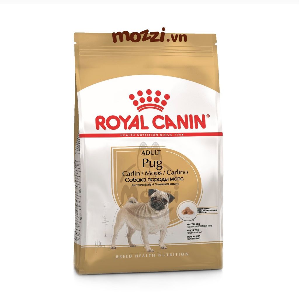 Thức ăn hạt Royal Canin Pug Puppy Adult cho chó mặt xệ [500g - 1.5kg]