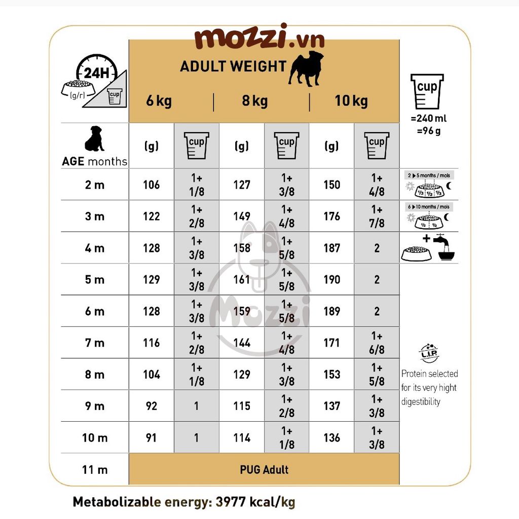 Thức ăn hạt Royal Canin Pug Puppy Adult cho chó mặt xệ [500g - 1.5kg]